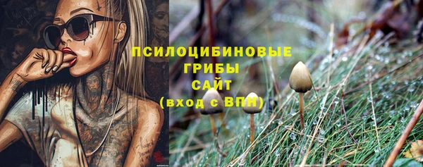 apvp Кинешма