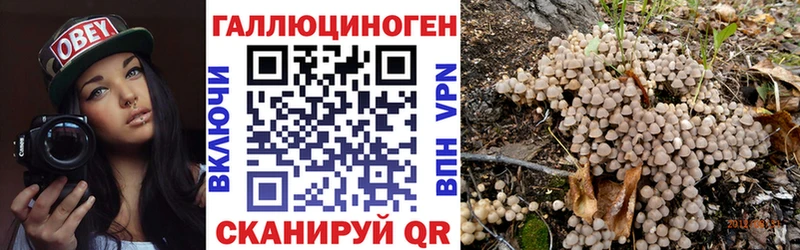 Галлюциногенные грибы Psilocybine cubensis  где продают наркотики  Елизаветинская 