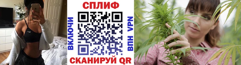Каннабис планчик  мега как войти  Елизаветинская 